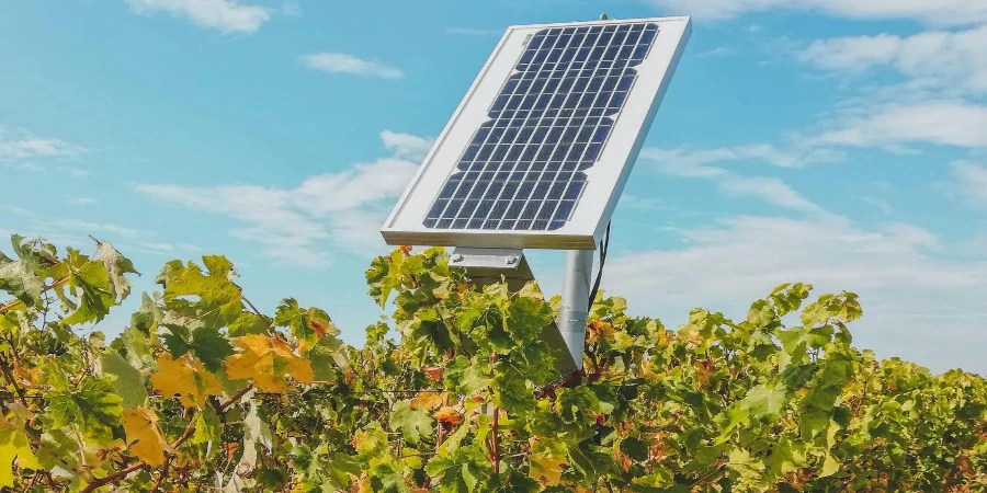 A Farmer's Guide to Using Portable Solar Panels